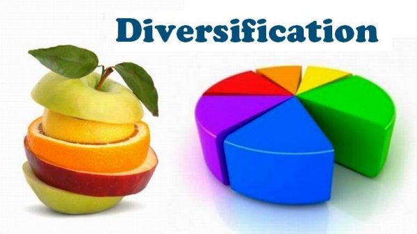 what-is-diversified-portfolio-and-how-to-create-it-with-case-study