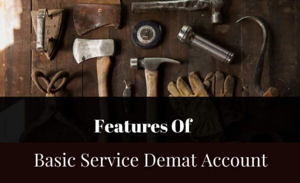 Basic Services Demat Account – A No Frills Account For Small Investors